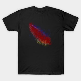 Abstract: 1 T-Shirt